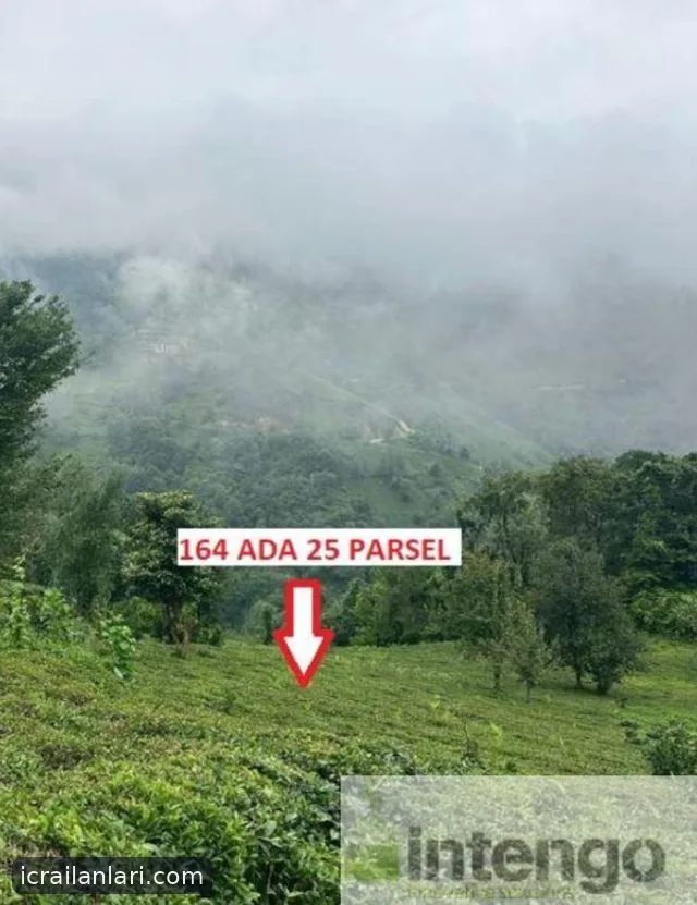 Satılık Arsa/Arazi - Rize Ardeşen ilan görseli 2