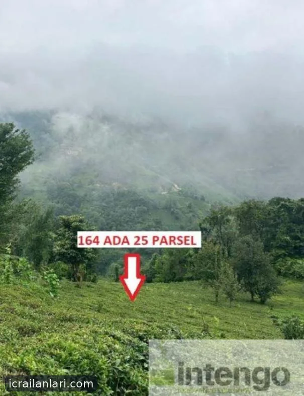 Satılık Arsa/Arazi - Rize Ardeşen ilan görseli 4