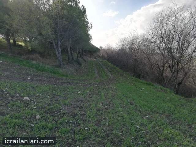 Satılık Tarla - Balıkesir Bandırma ilan görseli