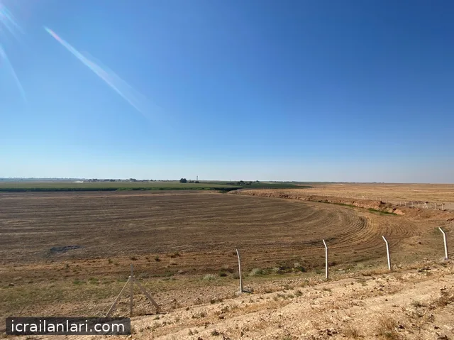 Satılık Tarla - Şanlıurfa Harran ilan görseli