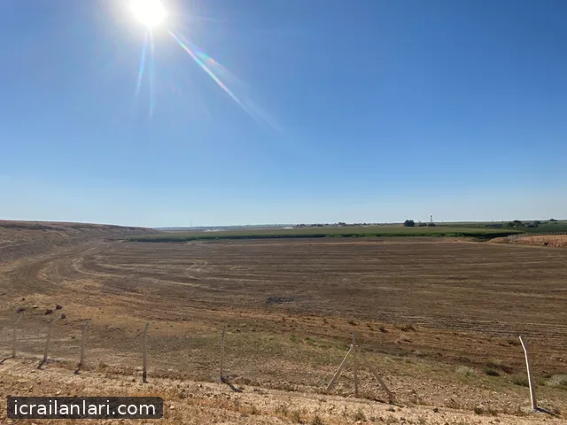 Satılık Tarla - Şanlıurfa Harran ilan görseli 3