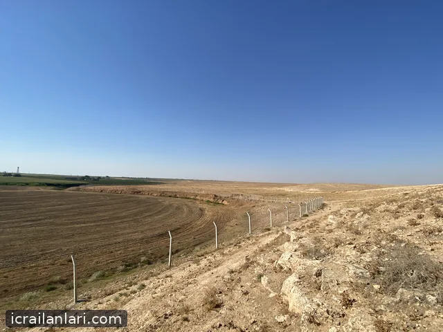 Satılık Tarla - Şanlıurfa Harran ilan görseli 7