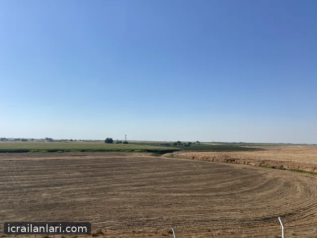 Satılık Tarla - Şanlıurfa Harran ilan görseli 9