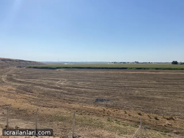 Satılık Tarla - Şanlıurfa Harran ilan görseli 10