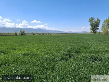 Satılık Tarla - Tokat Pazar