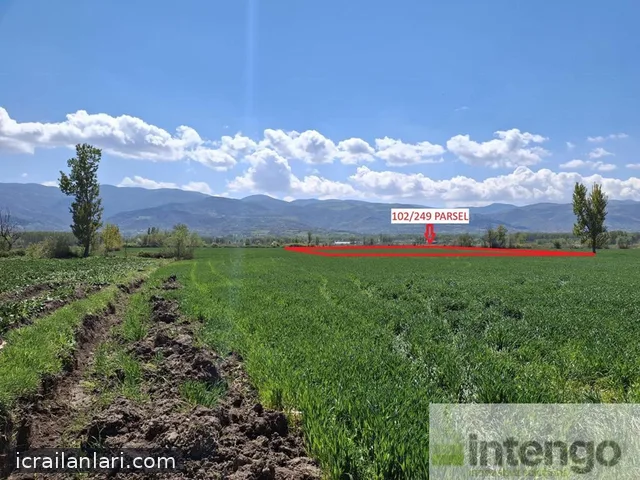 Satılık Tarla - Tokat Pazar ilan görseli 5