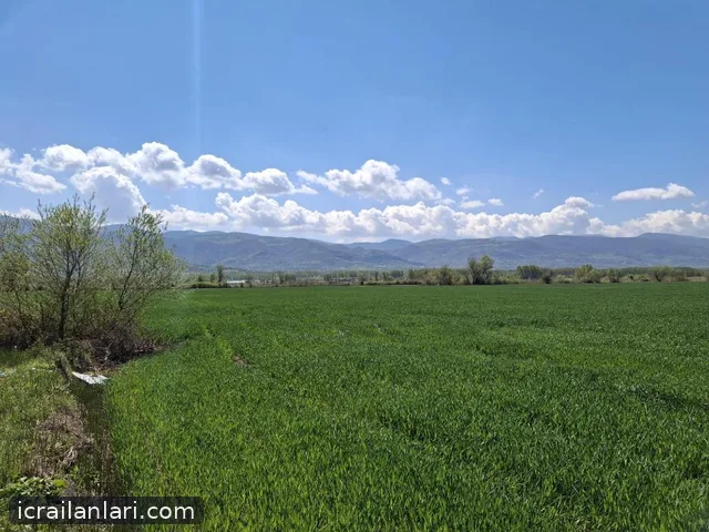 Satılık Tarla - Tokat Pazar ilan görseli 8