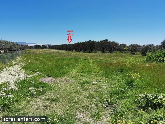Satılık Arsa/Arazi - Manisa Akhisar ilan görseli 10