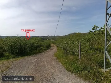 Satılık Arsa/Arazi - Ordu Ünye