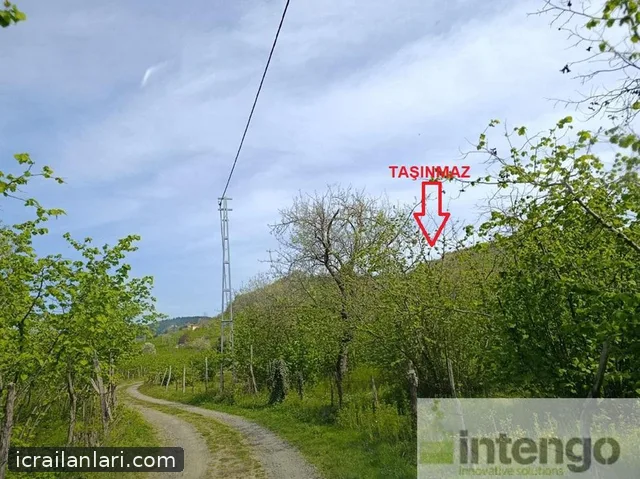 Satılık Arsa/Arazi - Ordu Ünye ilan görseli 2