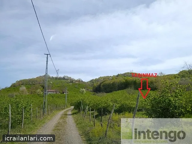 Satılık Arsa/Arazi - Ordu Ünye ilan görseli 12