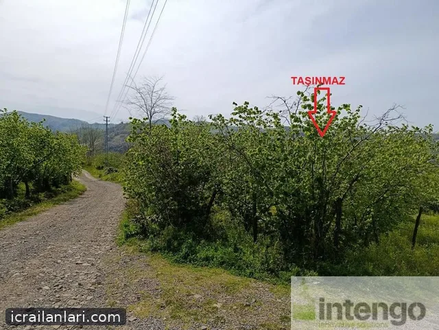 Satılık Arsa/Arazi - Ordu Ünye ilan görseli 14