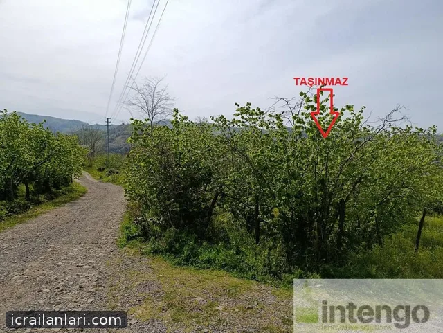 Satılık Arsa/Arazi - Ordu Ünye ilan görseli 7