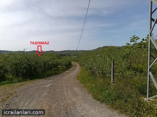 Satılık Arsa/Arazi - Ordu Ünye ilan görseli 8