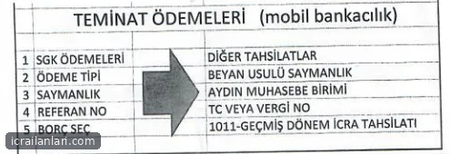 Satılık Renault Trafic 2011 - Aydın Bozdoğan ilan görseli 4