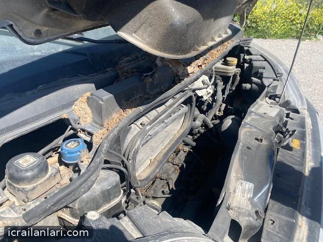 Satılık Peugeot Boxser Frigorifik Izolasyonlu Kapali Kasa SASE:VF3YDUMFC12B58462 1 250 . 000,00 TL Aracin Muhtelif Yerlerinde Cizik VE Vuruk Mevcut.Aracin Bilinmeyen Kusurlari Olabilir.Aracin Kontak Anahtari Var.Aku Yok.Muhtelif Sokuk Parcalar Olabilir. .frıgorıfık Dolabi Calisir Durumda Degil 2016 - Manisa Çıkarılmıştır Birinci Artırma ilan görseli 2