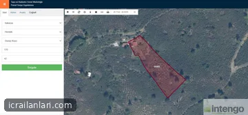 Arsa/Arazi - SAKARYA HENDEK - 7.756 m²