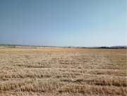 Satılık Arsa/Arazi - Ankara Akyurt