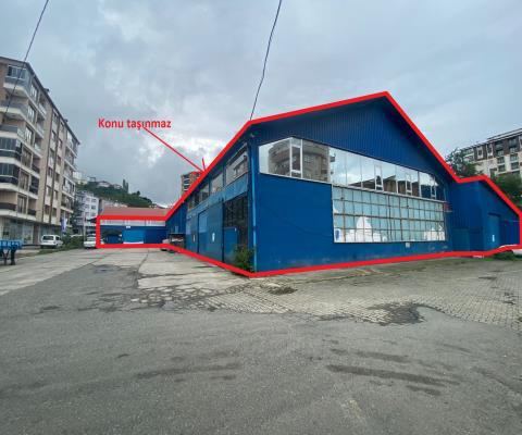 Rize Merkez Satılık Depo - 141.500.000 TL