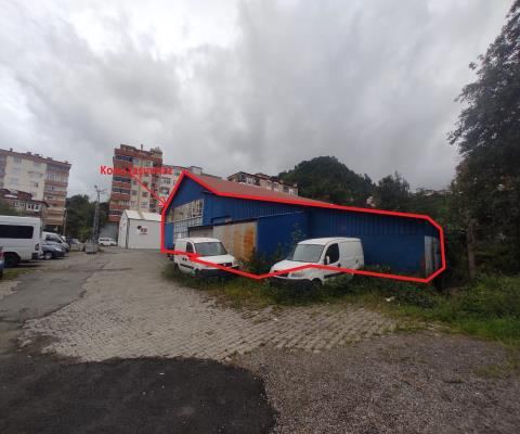 Rize Merkez Satılık Depo - 141.500.000 TL