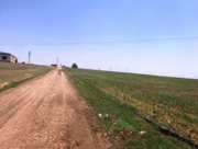 Satılık Tarla - Şanlıurfa Ceylanpınar