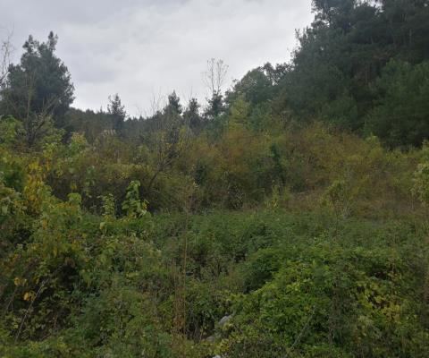 Bursa Osmangazi Satılık Arsa - 2.199,50 m² - 5.775.000 TL