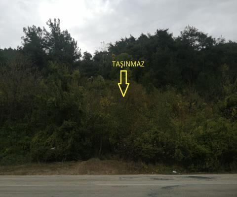 Bursa Osmangazi Satılık Arsa - 2.199,50 m² - 5.775.000 TL