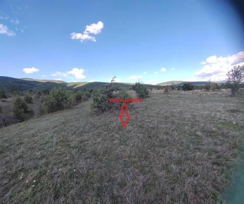 Kastamonu Daday Satılık Arsa - 13.591,09 m² - 1.650.000 TL