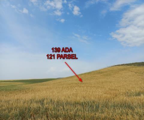 Ankara Sincan Satılık Arsa - 45.419,76 m² - 7.700.000 TL