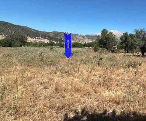 Isparta Merkez Satılık Arsa - 3.010,09 m² - 3.025.000 TL