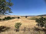 Satılık Tarla - Isparta Merkez