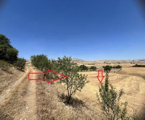 Isparta Merkez Satılık Arsa - 3.187,26 m² - 3.025.000 TL