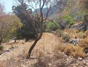 Satılık Tarla - Muğla Marmaris