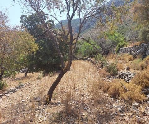Muğla Marmaris Satılık Arsa - 1.196,89 m² - 3.575.000 TL