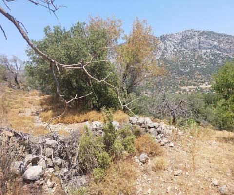 Muğla Marmaris Satılık Arsa - 1.196,89 m² - 3.575.000 TL