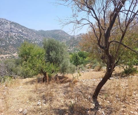 Muğla Marmaris Satılık Arsa - 1.196,89 m² - 3.575.000 TL