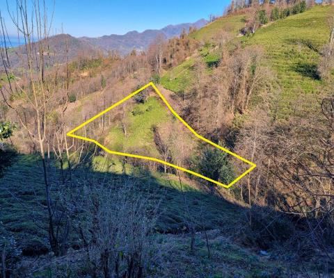 Artvin Hopa Satılık Arsa - 2.921,51 m² - 1.430.000 TL