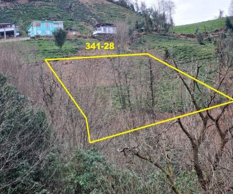 Artvin Hopa Satılık Arsa - 1.658,46 m² - 1.045.000 TL