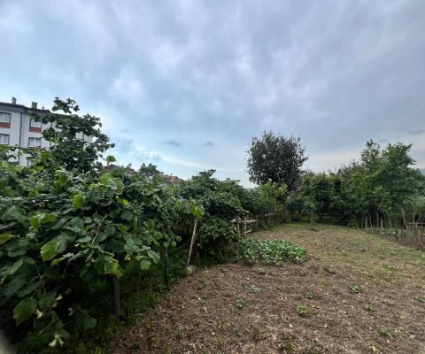 Giresun Espiye Satılık Arsa - 585,37 m² - 7.700.000 TL