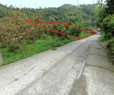 Trabzon Ortahisar Satılık Arsa - 4.035,03 m² - 8.600.000 TL