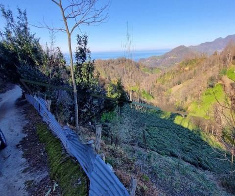 Artvin Hopa Satılık Arsa - 3.921,16 m² - 2.970.000 TL
