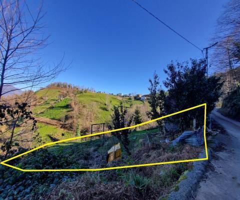 Artvin Hopa Satılık Arsa - 3.921,16 m² - 2.970.000 TL