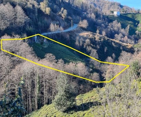 Artvin Hopa Satılık Arsa - 3.921,16 m² - 2.970.000 TL
