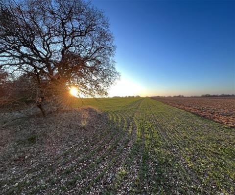 Kırklareli Lüleburgaz Satılık Arsa - 15.000 m² - 3.875.000 TL