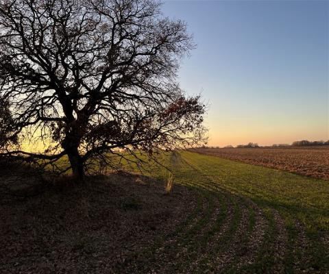 Kırklareli Lüleburgaz Satılık Arsa - 15.000 m² - 3.875.000 TL