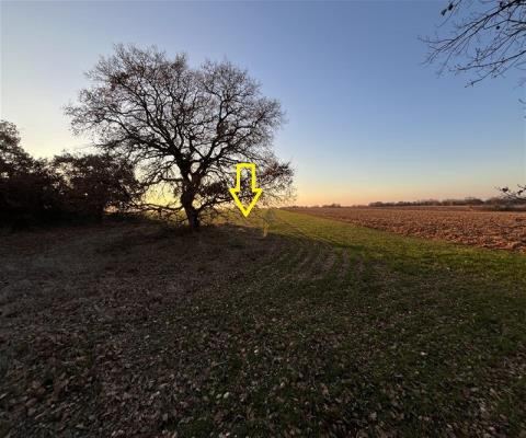 Kırklareli Lüleburgaz Satılık Arsa - 15.000 m² - 3.875.000 TL