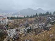 Satılık Tarla - Amasya Merkez