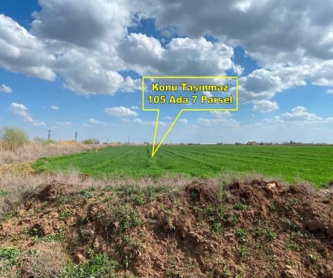 Şanlıurfa Harran Satılık Arsa - 38.575 m² - 12.650.000 TL