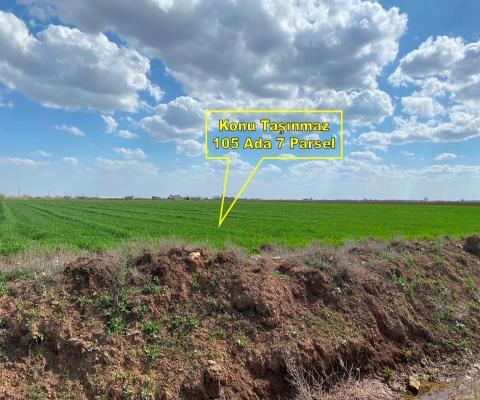 Şanlıurfa Harran Satılık Arsa - 38.575 m² - 12.650.000 TL