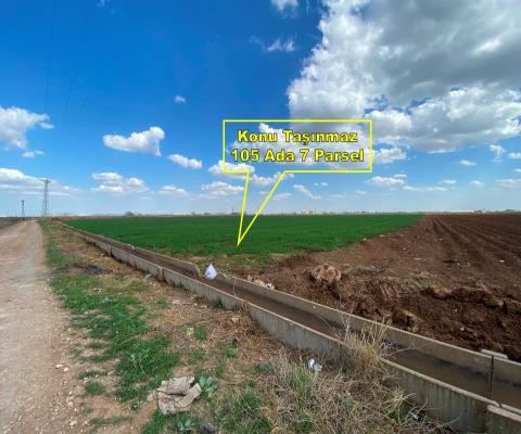 Şanlıurfa Harran Satılık Arsa - 38.575 m² - 12.650.000 TL